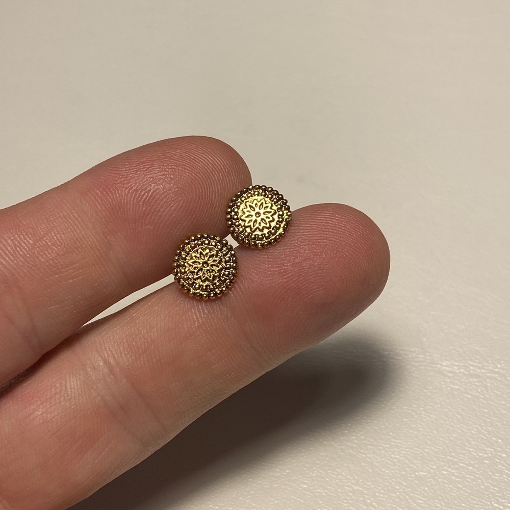 Satellite Paris earrings.